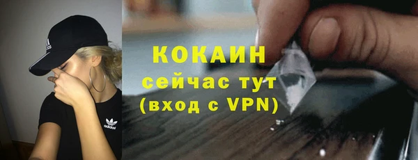дживик Арсеньев
