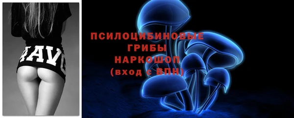 дживик Арсеньев