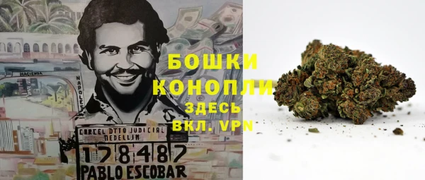 дживик Арсеньев